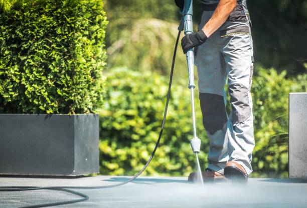 Best Animal Enclosure Cleaning  in Marion, KS