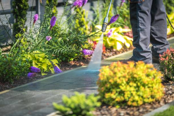 Best Fence Cleaning  in Marion, KS